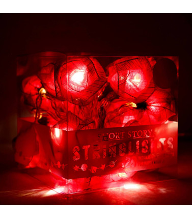 Valentines Day Red Roses Stringlights
