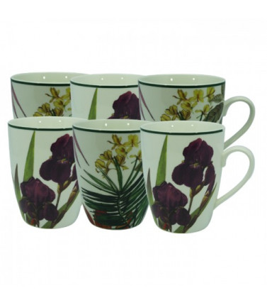 Housewarming Botanica Mugs