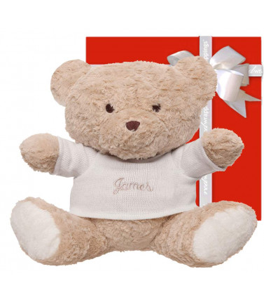Soft Toy Teddy - Personalised