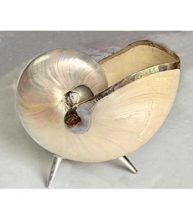 Capiz Shell Nautilus Silver Stand - Large