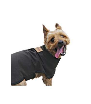Oilskin Dog Raincoat - Medium
