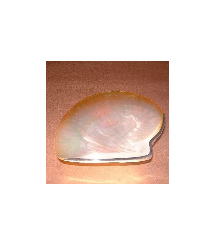 Capiz Shell Caviar Plate - Armadillo