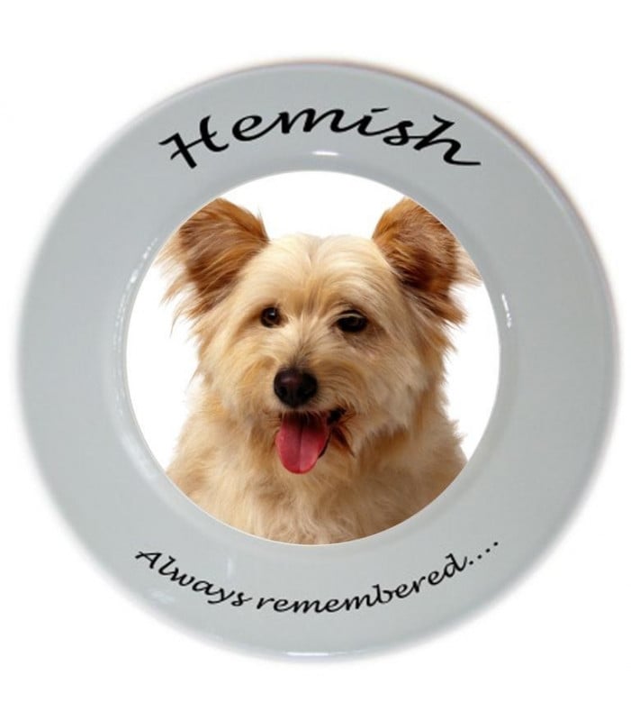 Pet Photo Personalised Plate