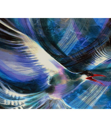 Australian Wildlife Collectable Print - Caspian Tern