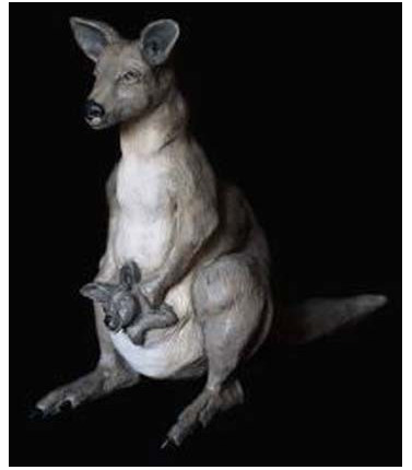 Australian Wildlife Collectable- Kangaroo & Joey