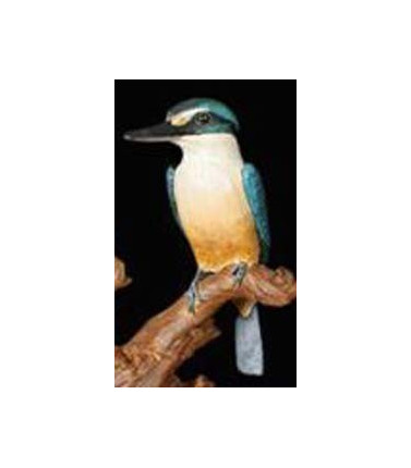 Australian Sacred Kingfisher