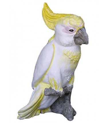 Sulphur Crested Cockatoo-Large