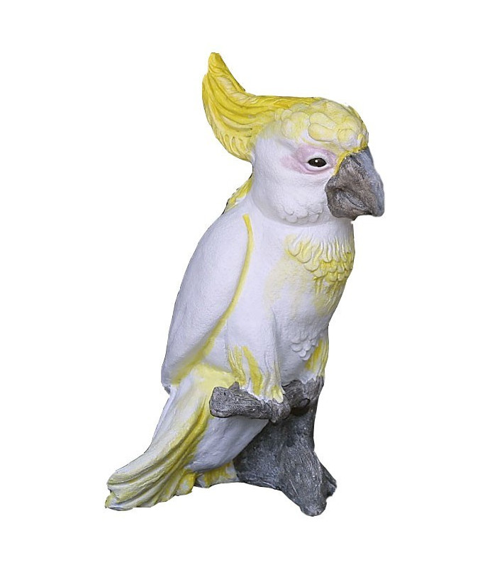 Sulphur Crested Cockatoo-Large