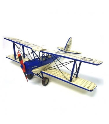Model Blue and White Tiger Moth 