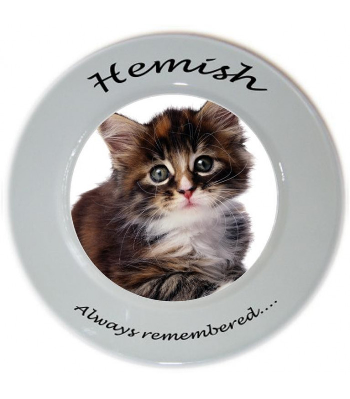 Cat Photo Personalised Plate