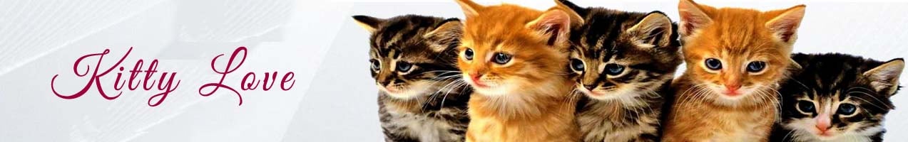 Gorgeous Gifts for Cat Lovers | Free Delivery Australia